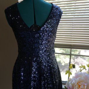 Sparkle Sequin Navy Dress